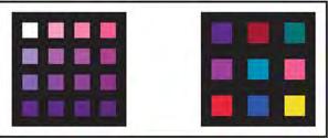Assessment step B: image colour values Digital microscope image of slide Image analysis RGB Colour estimation CIE Lab estimates ICC profile for calibrated digital microscope Image processing software