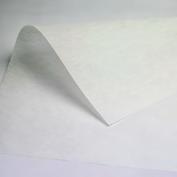 LaSeR PRINTaBLeS 1810 NeWLaSeR FIRM 360 F 30s PEEL: COLD This is a self-weeding laser printable paper,