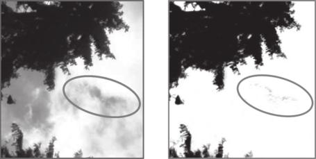 Figure 10. Classified hemispherical image with scattered clouded sky. TABLE 3.