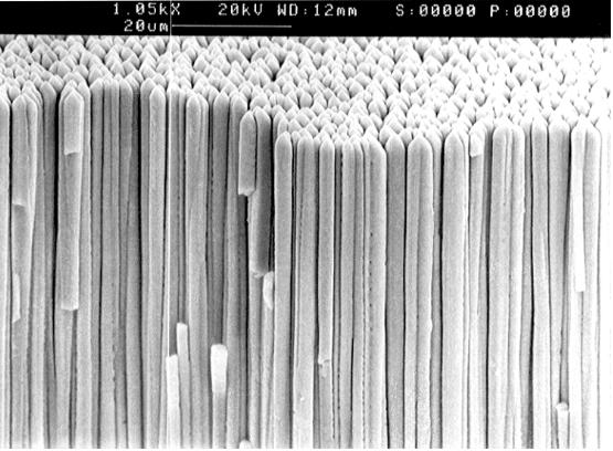 Figure 1: Scanning electron micrograph of CsI needle crystals (source: internet).