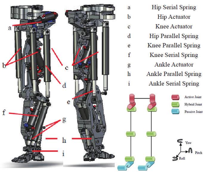 of performing multiple tasks and mimic the human walking gait, our humanoid robot leg mechanism has five degree-offreedom for each leg as well as two passive joints whereas the Flame only has 3