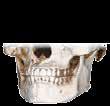 Sinus Endodontic High Resolution High Definition