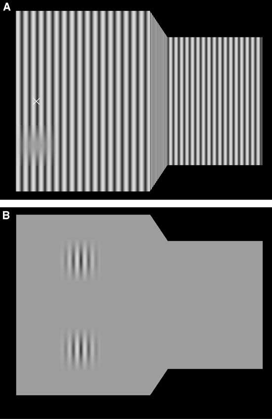 R.N. Aslin et al. / Vision Research 44 (24) 685 693 687 Fig. 1. Schematic of the stimulus display used during (A) adaptation and (B) test.
