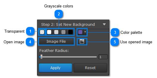 In this step, you can choose what you'd like to use as the new background for the object you've cut out.