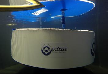 Engineering Consultancy Ecosse Subsea Systems provide experienced engineering consultancy, expert witness, project management and onshore / offshore operational
