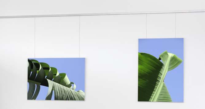/ Gallery Wall Rail With the gallery rail made of aluminium you put your frames and photos in the spotlight.