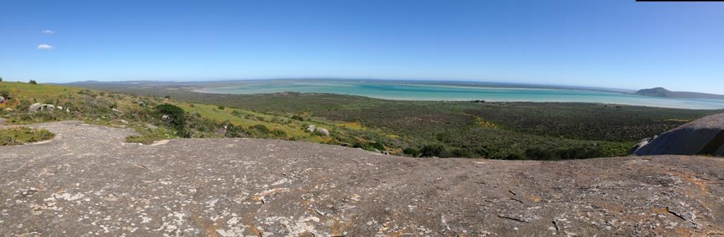 Langebaan Lagoon from the top of Zeeberg lookout & the endemic Cape Gray Mongoose There seemed to be some function inside the West Coast National Park and there was a long line of cars waiting to get