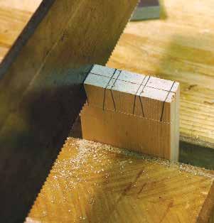 I make my tails three quarters the thickness of the wood, so in this example about 15mm.