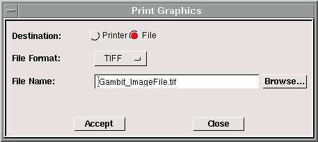 GAMBIT MENU COMMANDS File Commands Printing Graphics to a File When you select the File option on the Print Graphics form, the middle section of the form appears as shown below.