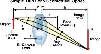 Introduction to lenses http://micro.magnet.fsu.edu/primer Ray diagrams (geometrical optics): 1. The optical axis contains the object focal point and the image focal point. 2.
