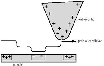 In a second scan phase, amplitude or frequency changes of the cantilever