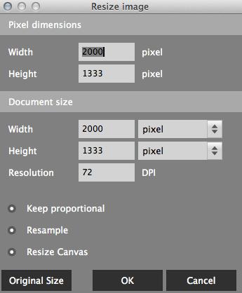 Rename: Click into the name box, rewrite it and click Enter When opening the first image of a new project, the canvas size is automatically set to its Image size.