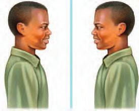 Virtual and Real Images The formation of an image by a plane mirror is shown in Figure 15. Your brain assumes that light rays travel in a straight line.