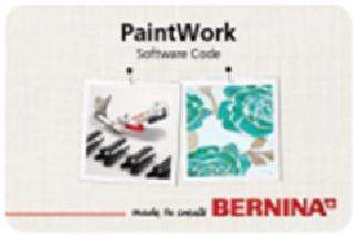 01 PaintWork Software Access