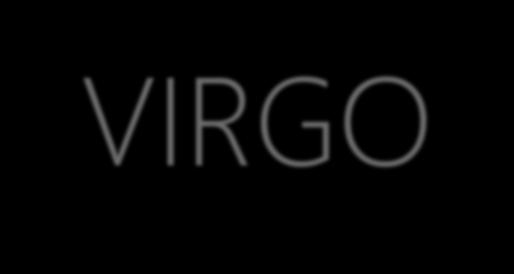 THE FUTURE OF VIRGO
