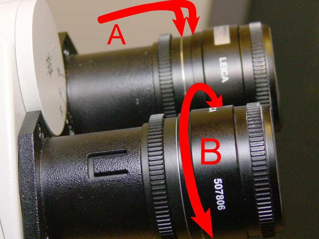 The fine focus has two modes: when the left focus wheel is pulled out, each line on the wheel equals 1 µm of movement. When it is pushed in, each line equals 4 µm of movement. 2.