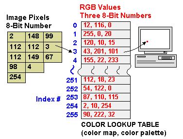 8-bit Color Images Many systems can make use of 8 bits of color information (the so-called 256 colors") in producing a screen image.