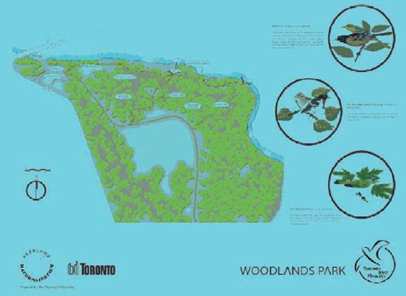 16 Woodlands Bird Flyway Humberwood Bird Flyway provides habitat for a variety