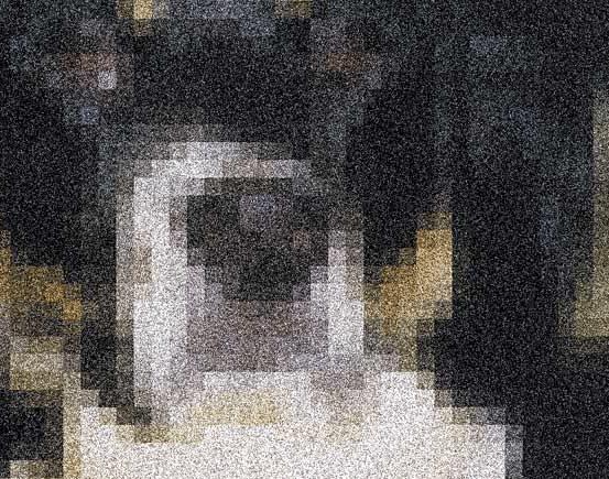 Digitized Images and Graphics Magnified portion of the picture See the pixels?