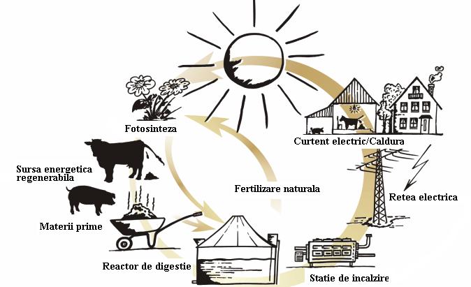 MANAGEMENT CALITATE-MEDIU prime destinate producerii biogazului, precum şi de convertire a biogazului în energie electrică şi/sau termică.