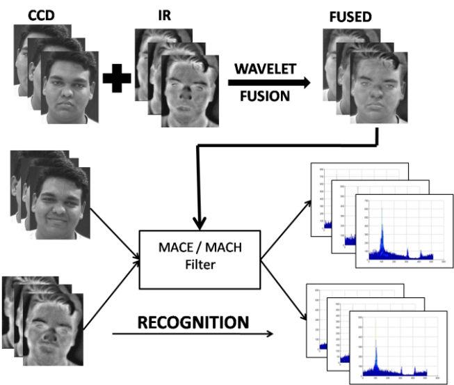 4. Experimentation To access the validity and efficiency of proposed algorithm, we have extensively tested the proposed algorithm on IRIS Thermal/Visible face dataset [10].