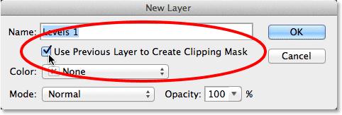 You can just accept the default name Levels 1, but make sure you select the Use Previous Layer to Create Clipping Maskoption by clicking inside its checkbox.