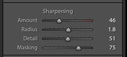 It is tempting always to apply the same level of sharpening, but subtle adjustments to your baseline settings might have a greater impact than expected.
