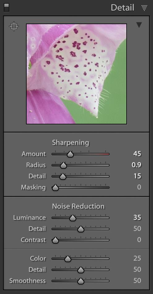 The actual settings will vary from camera to camera, but as a rough guide, I suggest you try the following: Step One Step One: In the Detail panel, increase the Sharpening and Luminance Noise