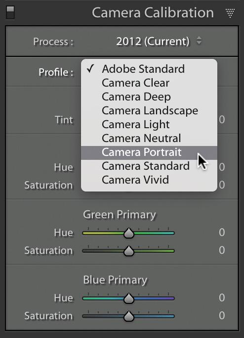 Step Four: Go to the Camera Calibration panel and select Camera Portrait from the Profile drop-down menu.
