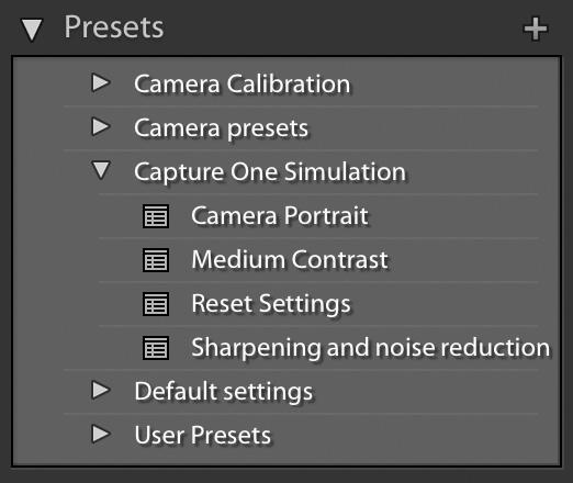 You ll need to check all the items shown here in the New Develop Preset dialog.