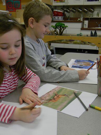 The children then worked with a teacher to find interesting facts about their specific animal.
