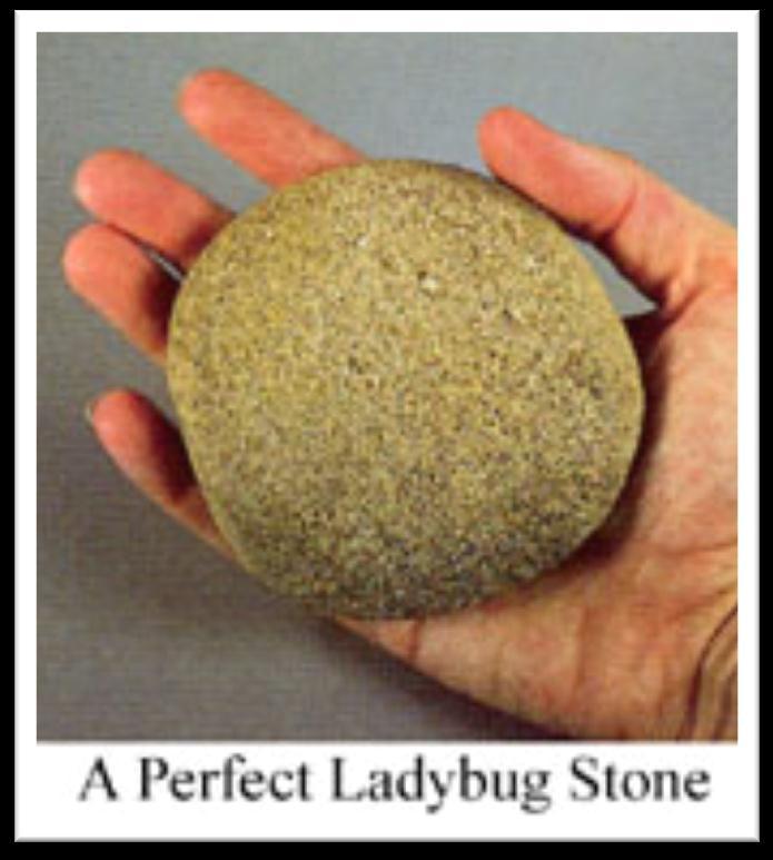 If your rock is too large, your bug will risk losing the appeal of being cute. On the other hand, a stone smaller than 2" across will require far more skill and concentration.