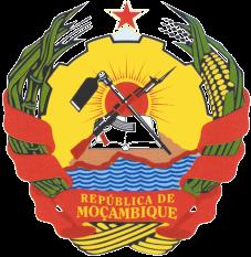 República de Moçambique The Role of Governments