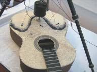 Chladni figures of the simple acoustic box and of the guitar body -