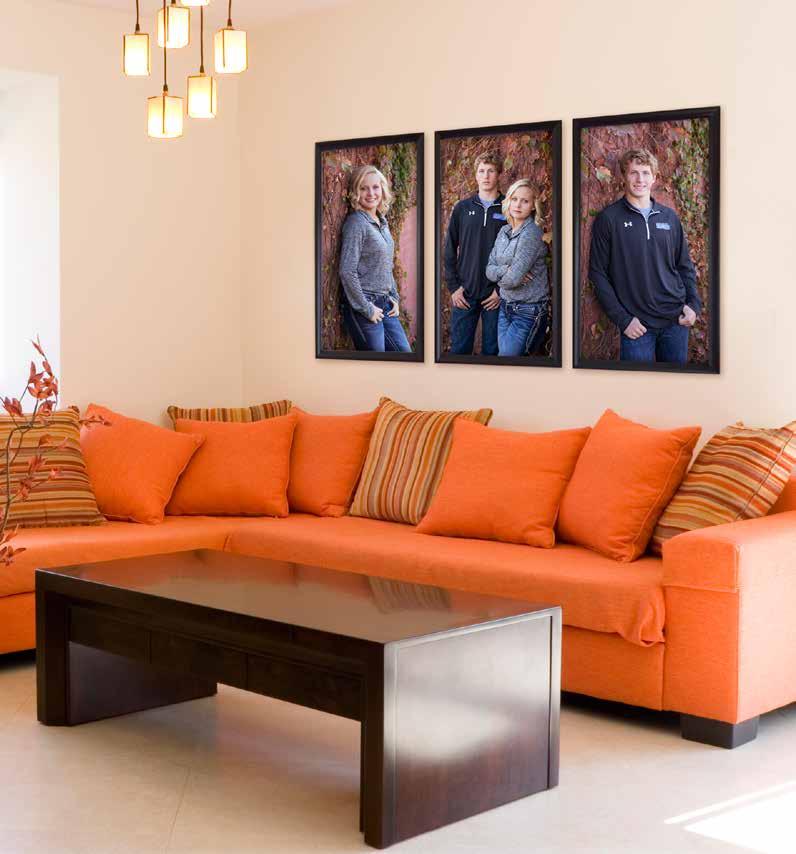 COLLECTIONS & PANELS A COLLECTION is a grouping of 2 or more images that can be displayed together on a wall or spread throughout your home.
