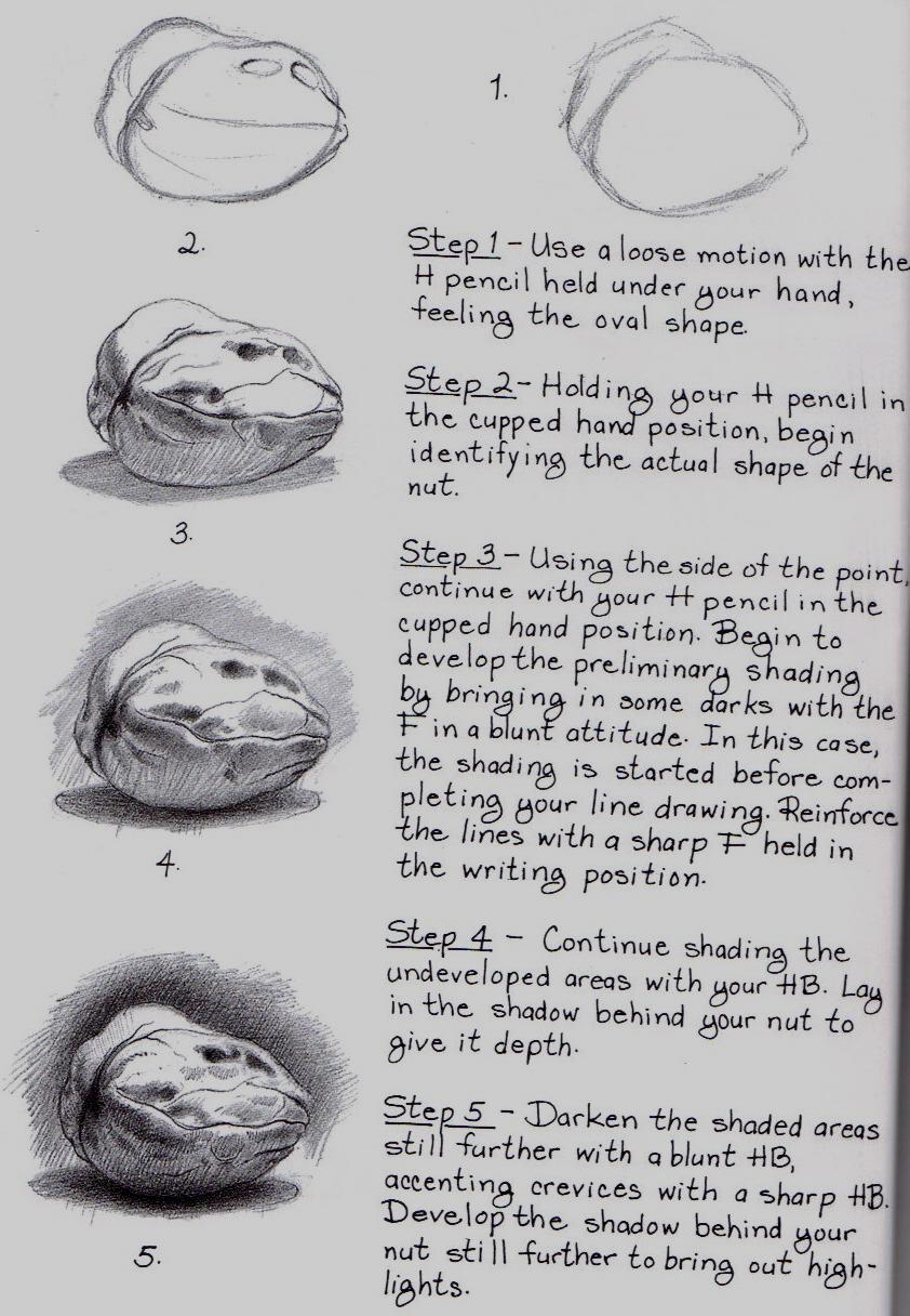 Step 2 Practice Walnuts This shrt exercise has been taken directly frm Gene s bk. It teaches us the steps t creating beautiful tnal studies. S, use the bxes n the right t exactly imitate the walnut.