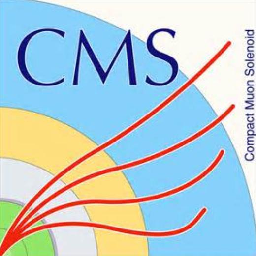 modules for the CMS High Granularity Calorimeter