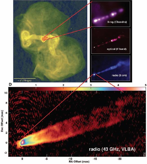 Famous results from VLBA (Miyoshi et al.