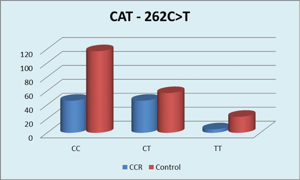 1. Polimorfismul CAT -262C>T (rs1001179) Fig.