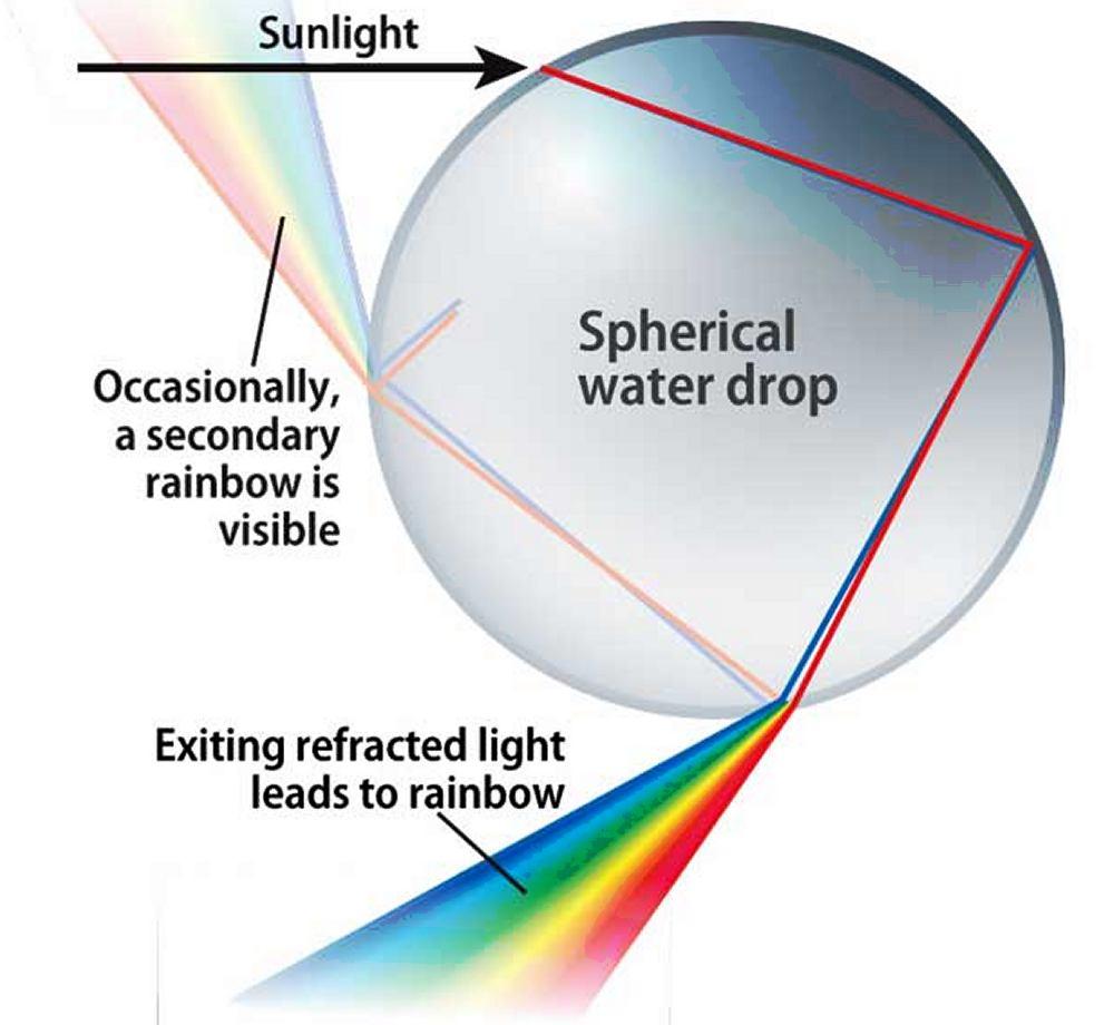 A rainbow is always formed in a direction opposite to that of the Sun. The water droplets act like small prisms.
