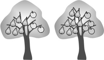 Each tree contains either 6 pears and 3 apples or 8 pears