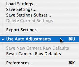 Whatever the reason, Camera Raw 3 performs an autocorrection on each image by default, a best-guess interpretation that may or may not be to your liking.