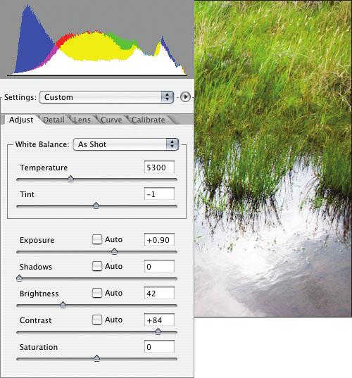 The easiest way to set an accurate white balance is to select the White Balance tool and click on something close to a diffuse highlight that you think is neutral.