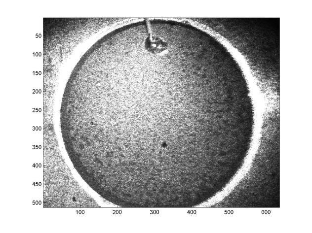 We can see the relationship between the numerical aperture image and the characteristic size of speckle grains.