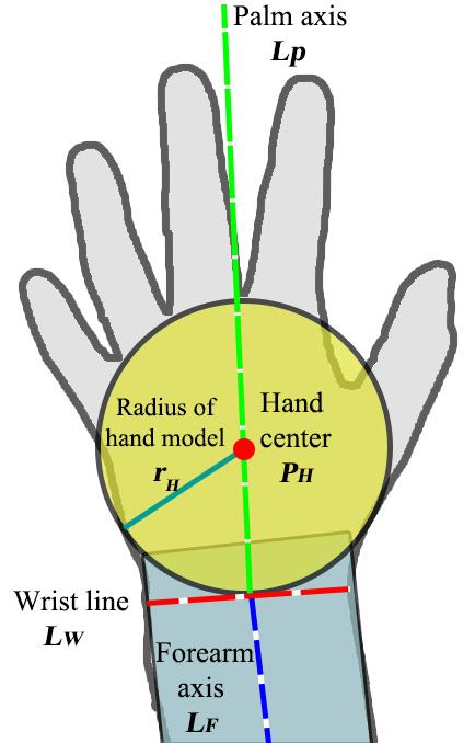 Arm model consists of a palm model (yellow circle) and forearm model (blue rectangle) There are three major technical issues: First, the wrist line should be robustly estimated to separate hand and