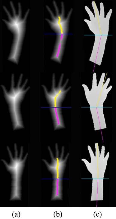 The validation of the potential arm blobs is performed through all processes of the hand feature extractor as shown in Figure3. 2.