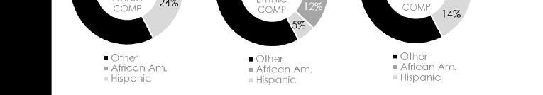 is Hispanic Ethnic Composition