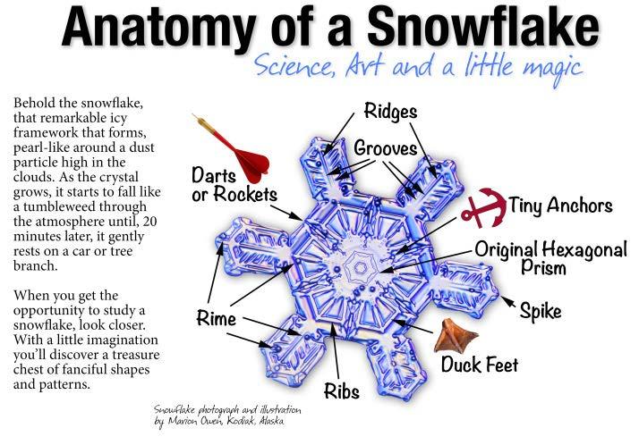 The Engineered Snowflake design created by Joe Sando, Senior Architect at EAPC, was also methodically planned.