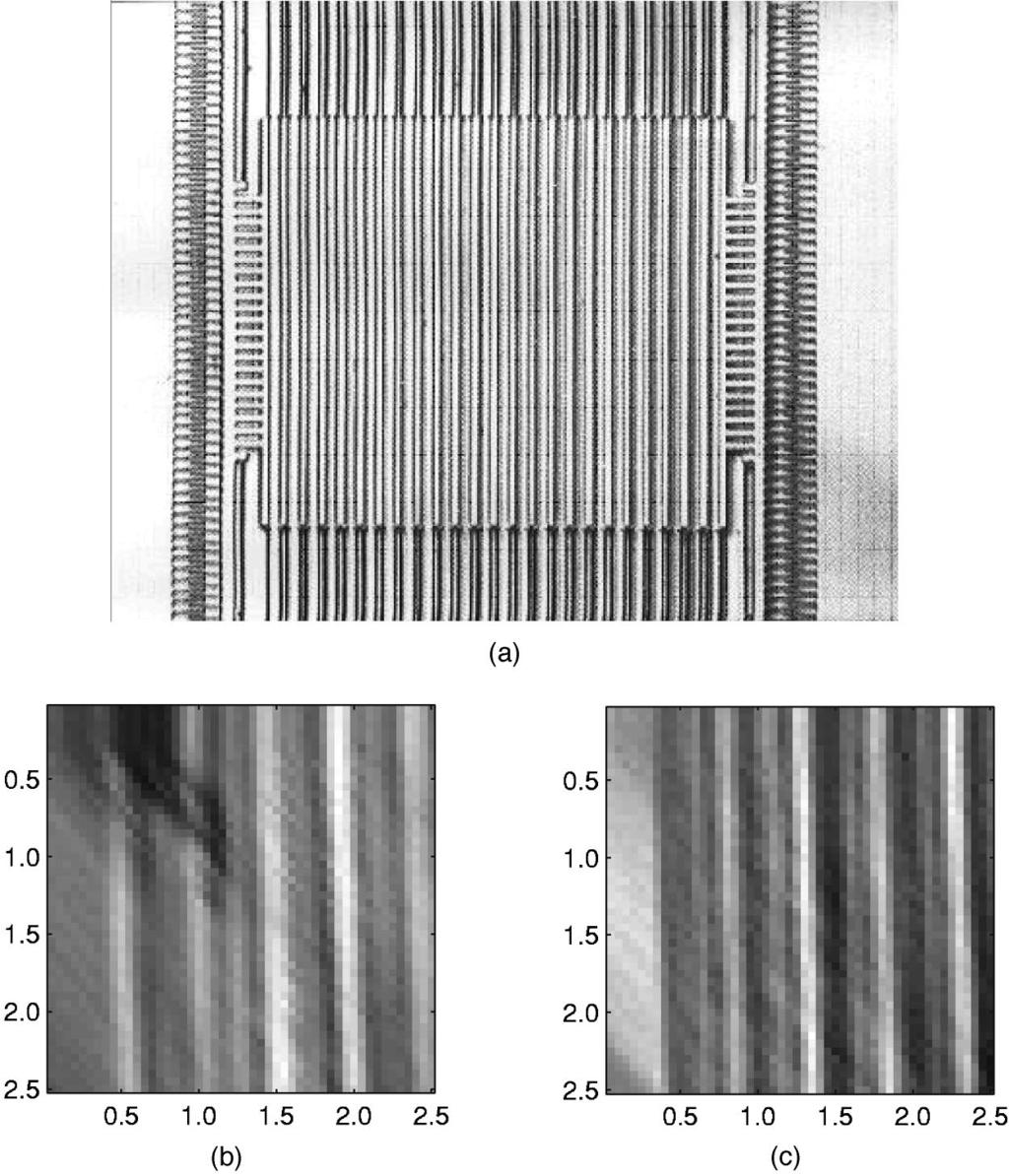 Fig. 8 VH image of a MEMS grating using microscope objective optics using the same LiNbO 3 crystal but recorded with a normally incident planar reference beam instead of the spherical reference.