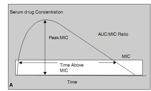 - Cpeak/MIC: Tỷ lệ giữa nồng độ đỉnh của kháng sinh và MIC - AUC 0-24 /MIC: Tỷ lệ diện tích dưới đường cong nồng độ theo thời gian trong 24 giờ và MIC (hình 1.3).